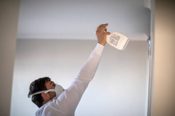 Best Water Damage Restoration  in Renton, WA
